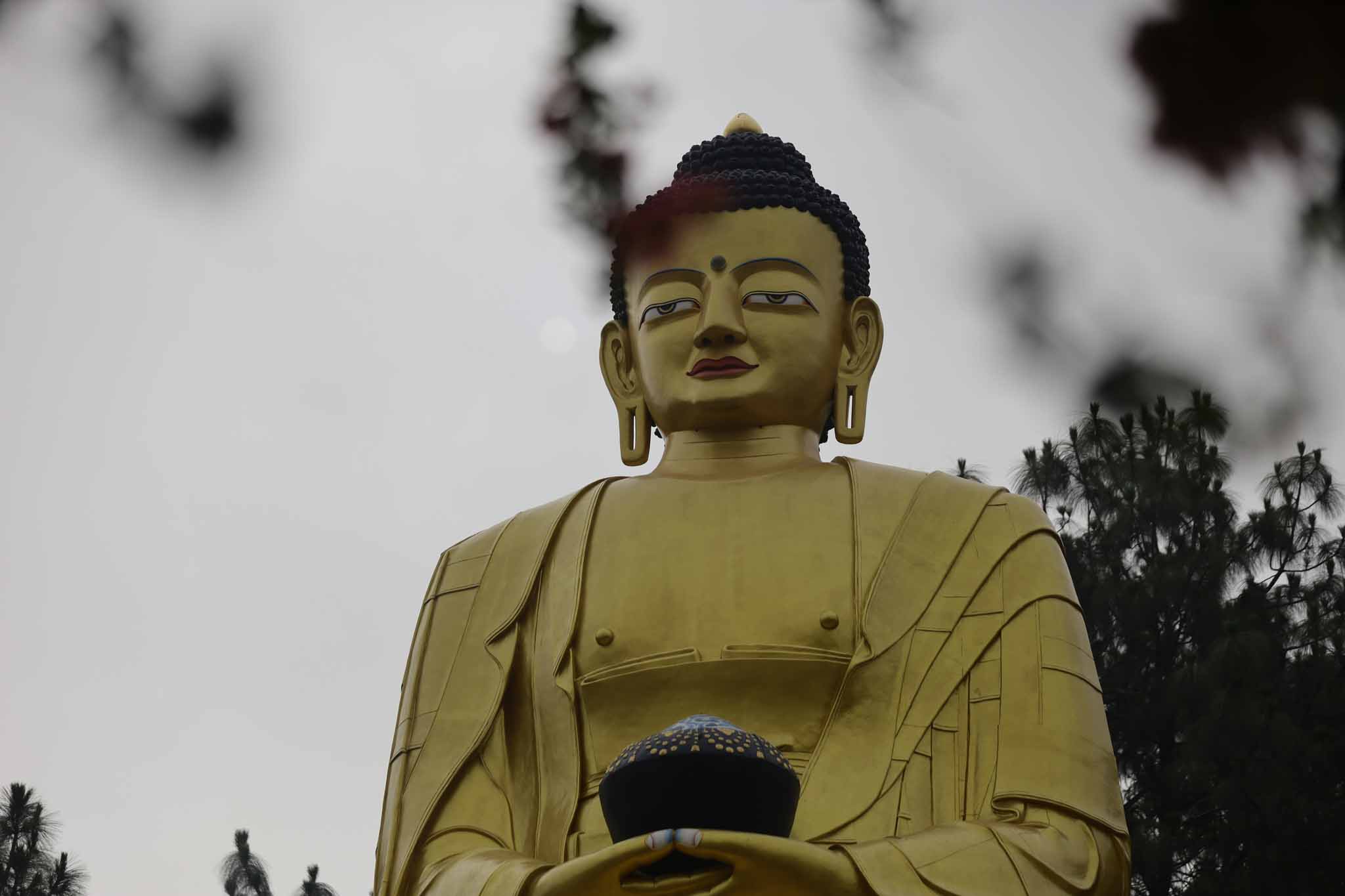 buddha jayanti (5)1683269322.jpg